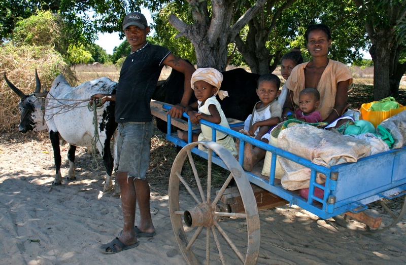 Transportation