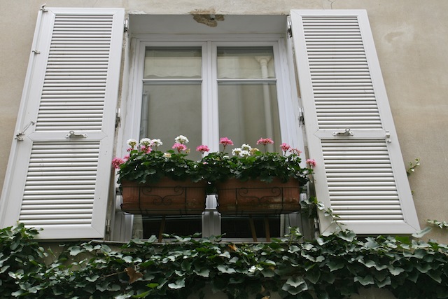 pariswindowflowers